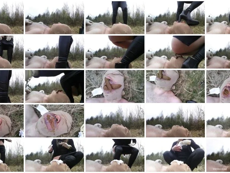 Watch Shit And Go Special HD 720p / 478 MB Online