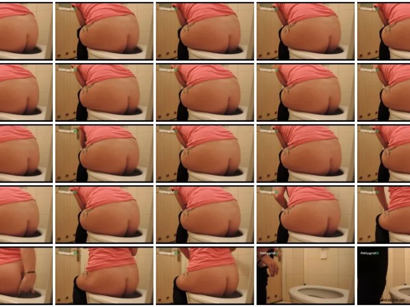 Watch Defecation In Toilet 8 SD / 143 MB Online