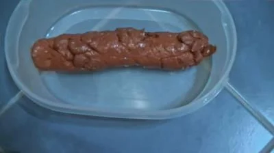 Watch A Shit For a Fan HD 720p / 17.4 MB Online