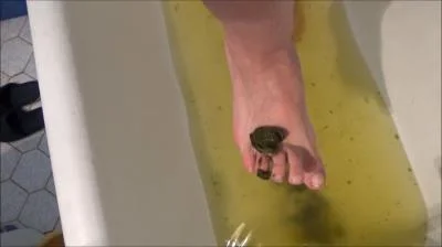 Poop And Enema SD / 382 MB shitworld