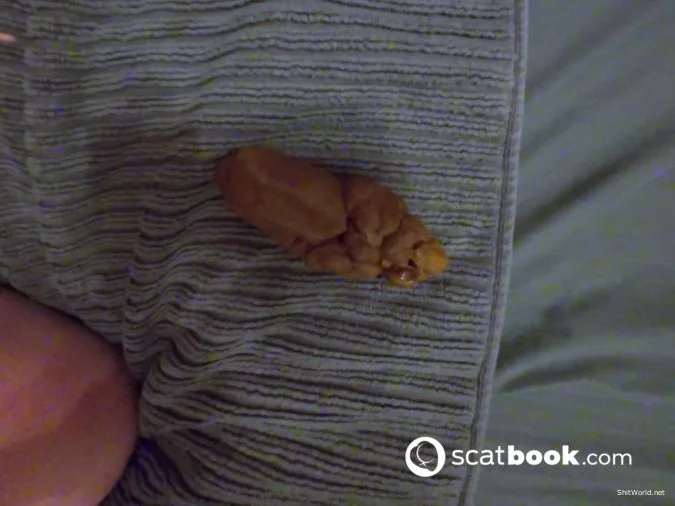 Watch Missionary HUGE Poop UltraHD/4K / 640 MB Online