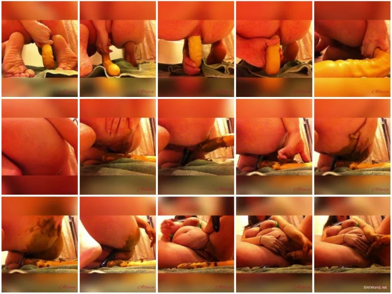 Watch Preggo Masturbation With Toys And Shit SD / 886 MB Online