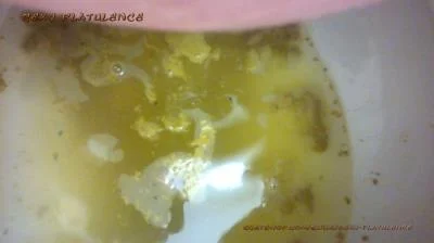 Diarrhea In The Toilet FullHD 1080p / 365 MB shitworld