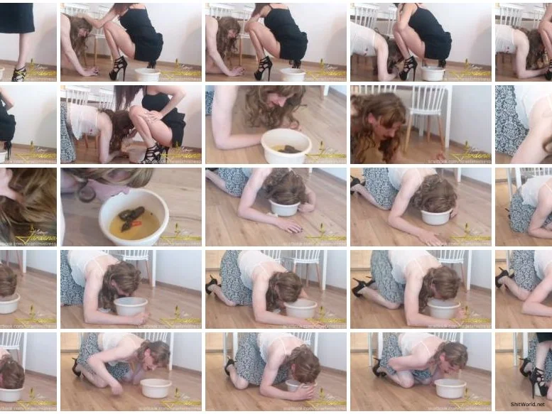 Watch Sissy coerced scat HD 720p / 83.1 MB Online