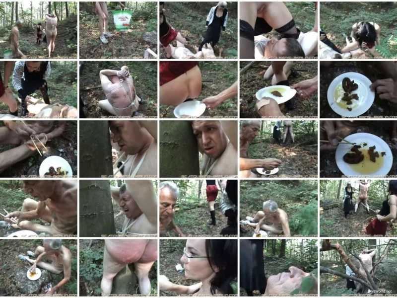 Watch Sushi Scat SD / 347 MB Online