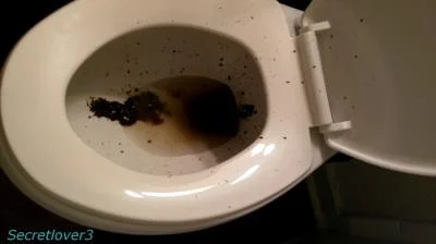 Toilet Spray FullHD 1080p / 568 MB shitworld