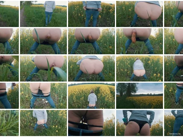 Watch Spring Outdoor Shit And Piss HD 720p / 48.6 MB Online
