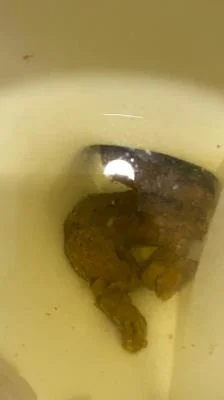 Watch Shitting On The Bathroom Floor At Work SD / 347 MB Online