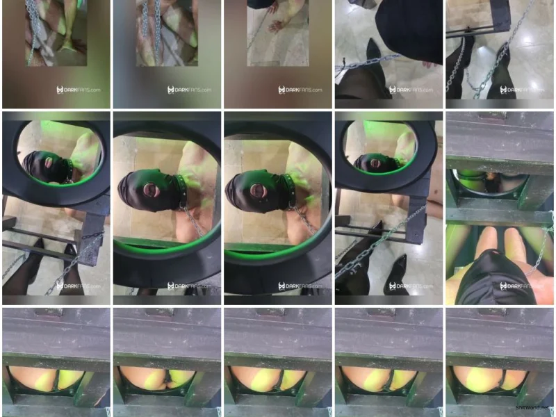 Watch Toilet slave, saco al esclavo de la reja para usarlo de UltraHD 2K / 148 MB Online