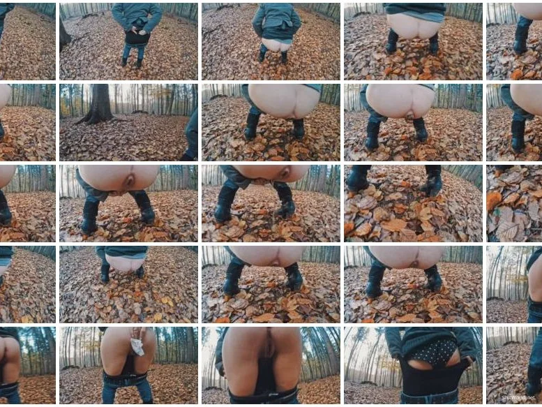 Watch Autumn Rocks HD 720p / 39.1 MB Online