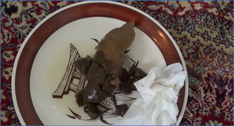 Download Poop on a Plate - Tegan in My First Clip! ShitWorld.net