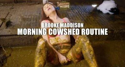 Morning Cowshed Routine HD 720p / 820.8 MB