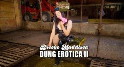 Scat Dung Erotica 2 HD 720p / 971.5 MB shitworld