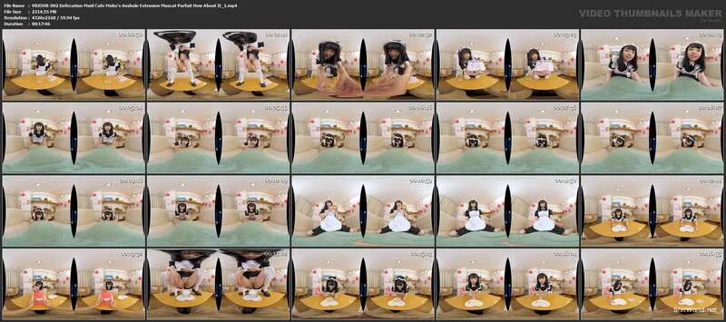 Watch VRXSVR-002 Defecation Maid Cafe Mako's Asshole Extrusion Muscat Parfait How About It 2160p / 4.8 GB Online