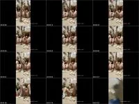 asha bunny pooing (Asha, Bunny, Sasha) FullHD 1080p / 72.32 MB