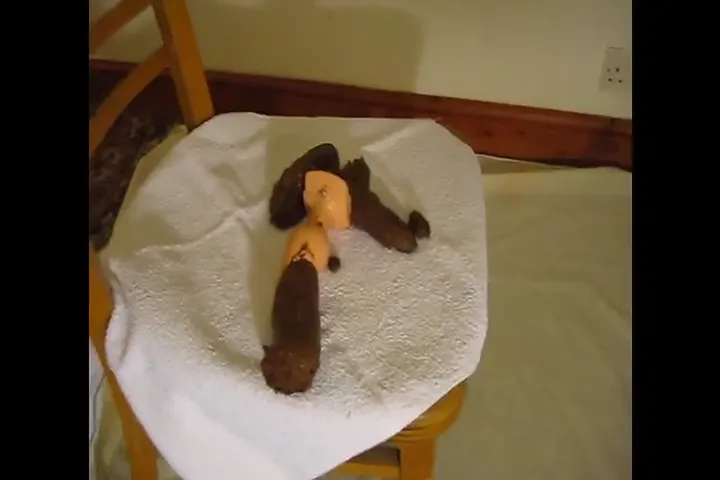 Download Shya Empties Her Bowels in a Messy Solo Scat Clip (toilet, scat) ShitWorld.net